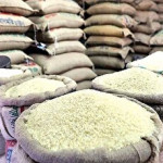 قیمت برنج ناگهان ۱۰۰ هزار تومان گران شد / شوک به خریداران برنج در آذر ۱۴۰۴