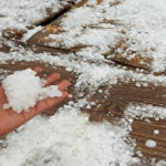 بارش شدید تگرگ در بوشهر+ فیلم