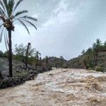 بارش باران و جاری شدن سیلاب در سیستان و بلوچستان+ فیلم