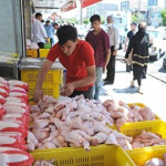 بازار مرغ شب عید در شوک کمبود نهاده/ قیمت مرغ به کیلویی چند تومان می‌رسد؟