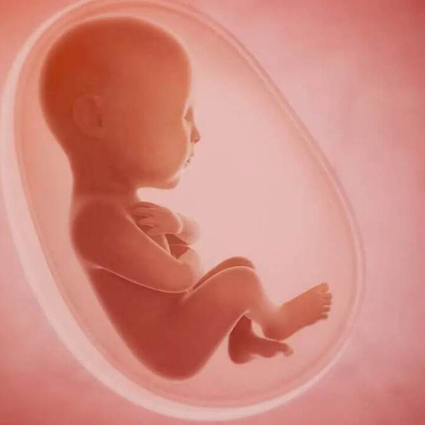 تاثیر شگفت‌انگیز فشار رحم مادر بر شکل‌گیری چهره ما!