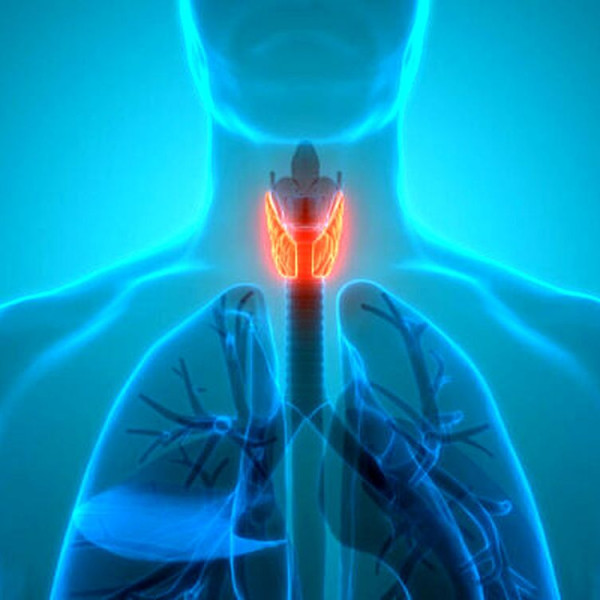 سه راز کلیدی برای داشتن تیروئیدی سالم که هر کسی باید بداند!