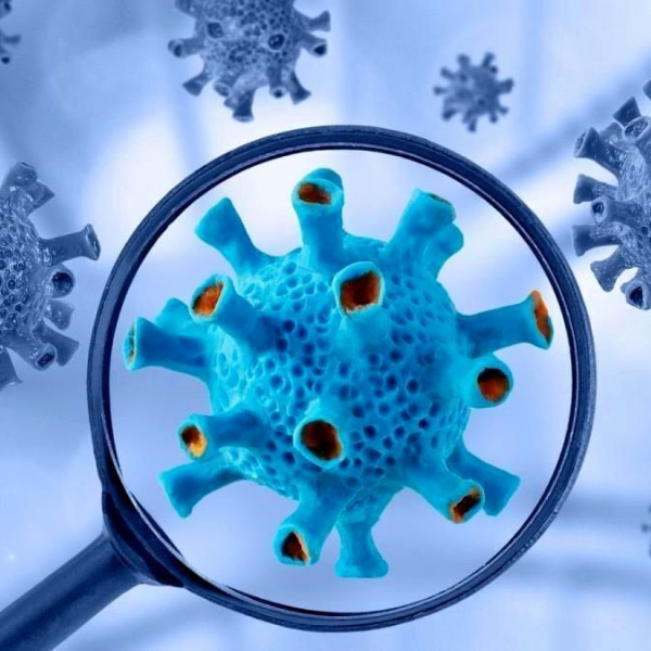 ترس از ویروس‌های واژنی آتشین: صحبت‌های مینو محرز