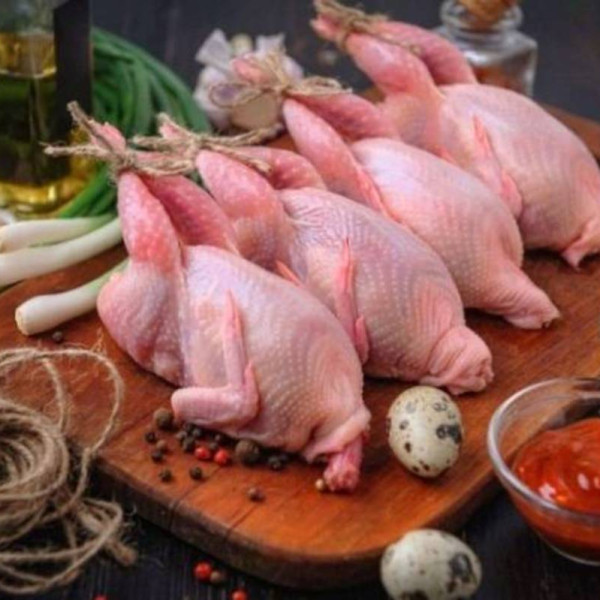 سرآمد هایی از گوشت بلدرچین برای حفظ سلامتی و طرز تهیه آسان