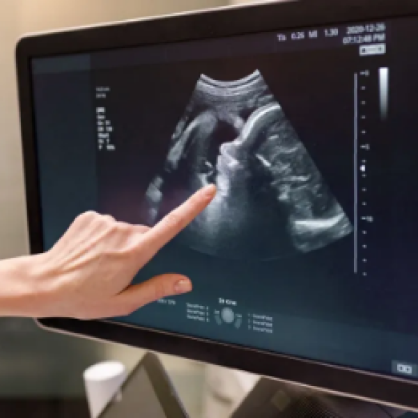 کشف یک نامه نادر در قشم: جستجوی گرمی که به دنبال جوهر مخوف می‌رود