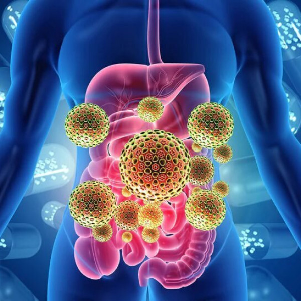 ۹ مواد غذایی که قاعده‌ی سلامت روده شما را تضمین می‌کنند