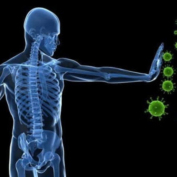 10 راه آسان برای بالابردن دفاع از سیستم بدنی خود