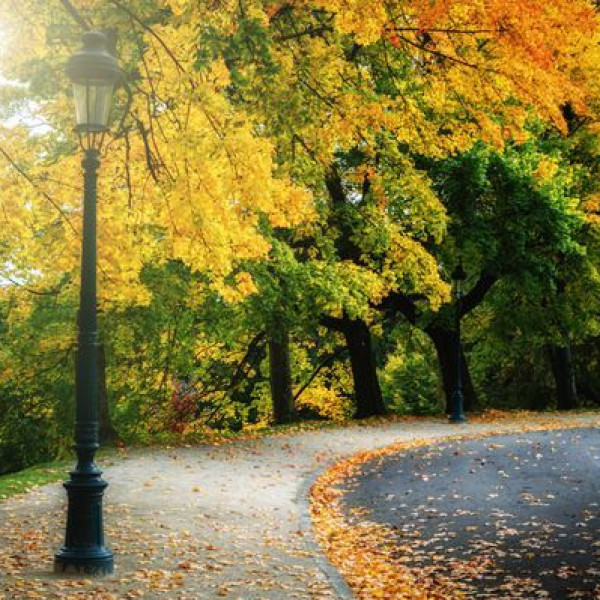 استخراج تعبیر از تفال حافظ در روز شنبه ۲۸ مهر ۱۴۰۳؛ سرنوشت ما در این شهر آزمایش شد…