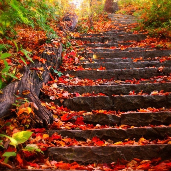 تفال حافظ: هنگامی که پری در خانه ما حاضر شد!