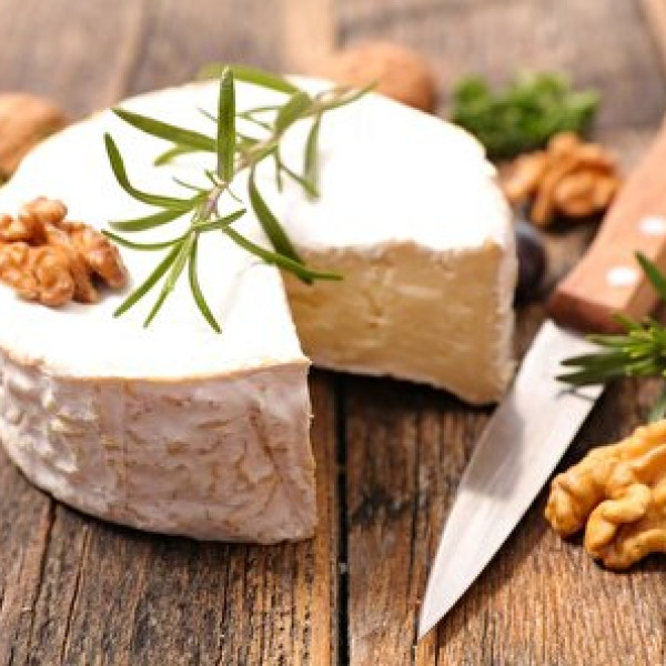 راز تهیه پنیر خانگی لذیذ و لذت بخش توسط خودتان!