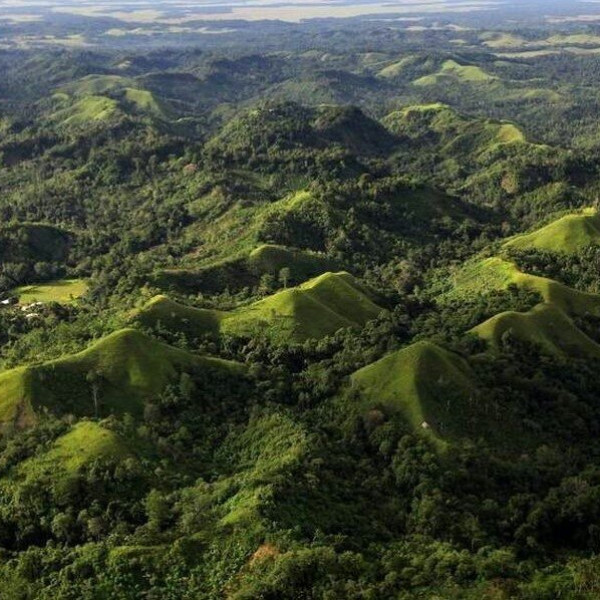کاوش در دنیای پنهان: کشف موجودی ناشناخته و جذاب