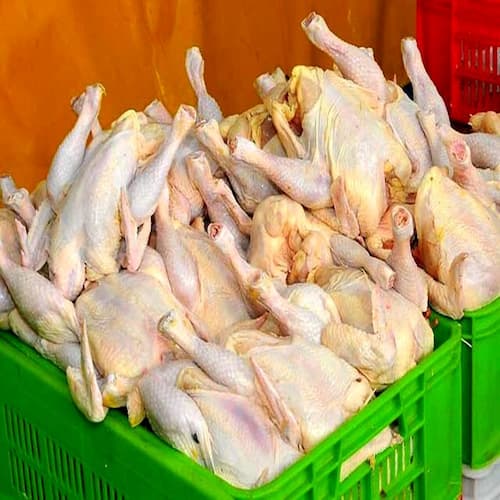 قیمت مرغ با این خبر مهم تغییر می کند ؟