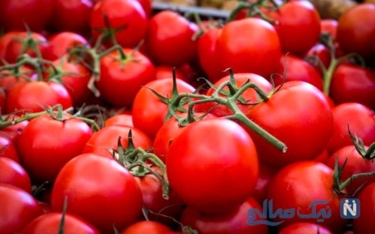 گوجه فرنگی با قیمت جدید