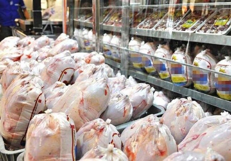 مرغ کشتار روز چند / قیمت جدید مرغ کیلویی ۹۸ هزارتومان شد!