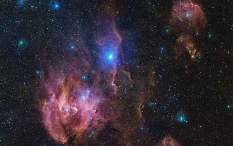 بوقلمون کیهانی توسط ناسا شکار شد! + عکس