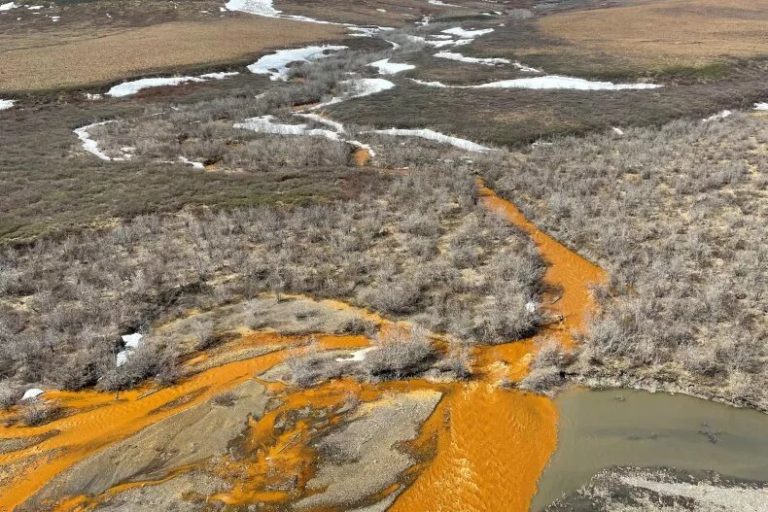 دلیل نارنجی شدن رودخانه های آلاسکا چیست؟