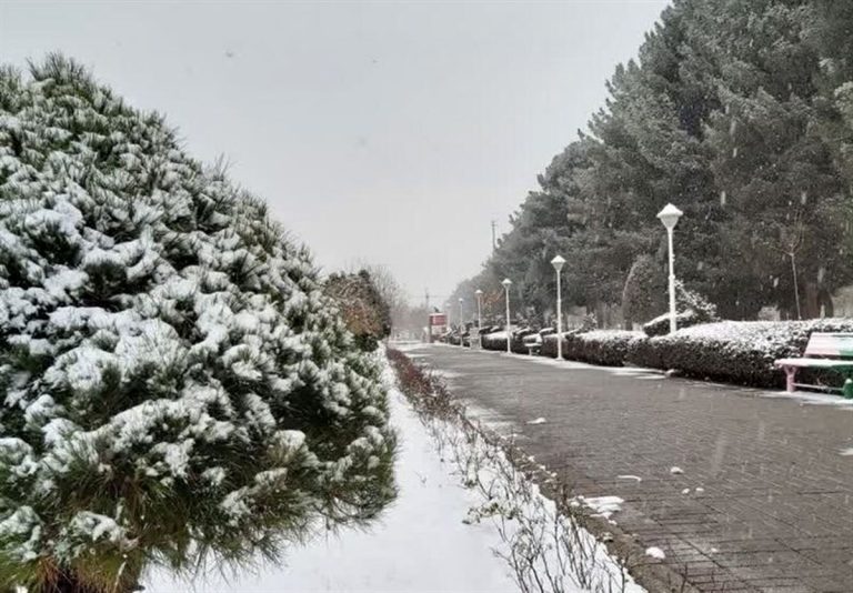 آخرین وضعیت بارش برف در پایتخت ایران