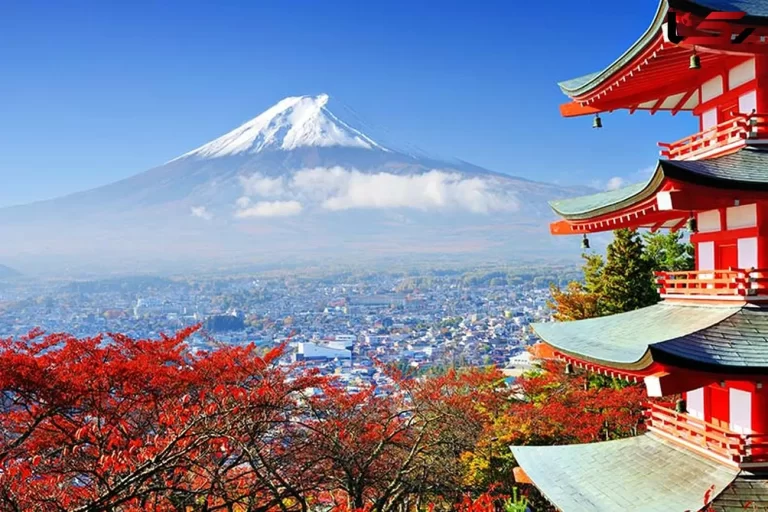 آیا می‌دانید چرا باید به ژاپن سفر کنید؟