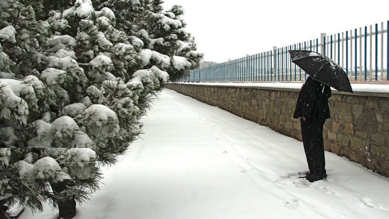 تبدیل شدن برف تهران به مبحث سیاسی!