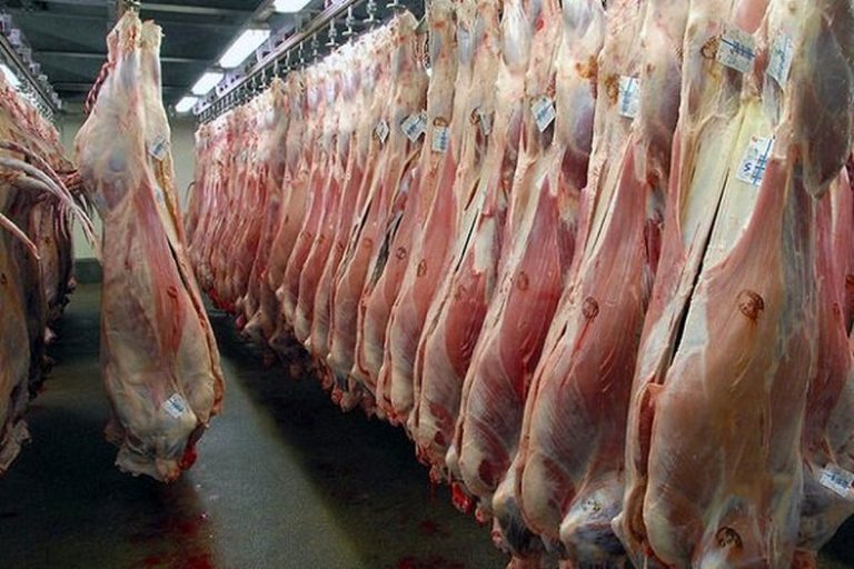 سه شنبه ۸ اسفند، دیگر گوشت گوسفندی تو بازار با قیمتی مناسب خواهد بود!