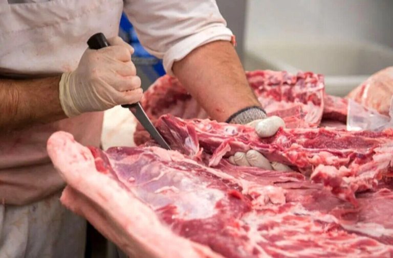 تخفیف ویژه: گوشت گوسفند به قیمت جذاب ۷۰۰ هزار تومان!