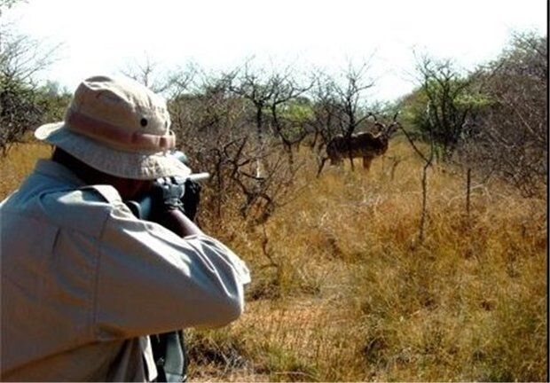 دستگیری بیش از هزار شکارچی غیرقانونی: عملیات باشکوه نیروهای انتظامی