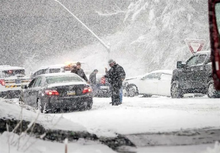 سر به راه در زمستان، تصویری شگفت‌انگیز از جاده هراز که در برف می‌لرزد.