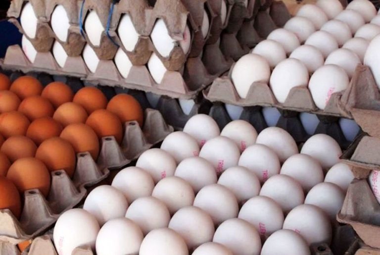 مغز تومان ۱۲۳ هزار: قیمت تخم‌مرغ ۲۰ عددی افزایش یافت! همراه با جدول