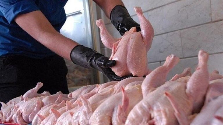اعلام قیمت تازه‌ی مرغ برای مصرف‌کنندگان