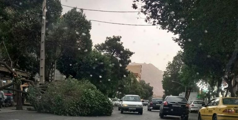 پیش‌بینی هوا: تهران روزی خنک و دل‌انگیز در پیش دارد!