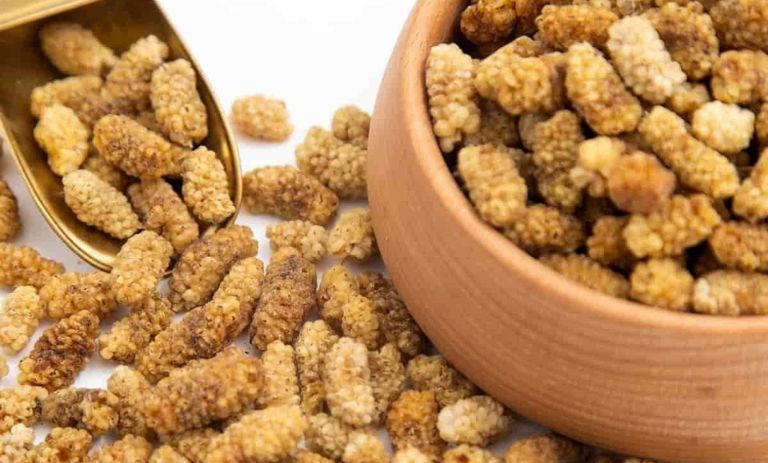 آیا توت خشک شیرینی دارد؟