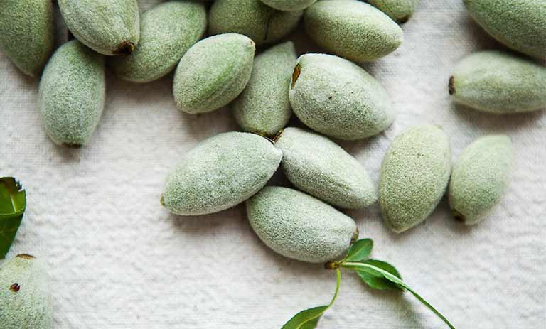 چگونگی استفاده از چاقاله بادام برای کاهش وزن بهترین نکات و راه‌های موثر