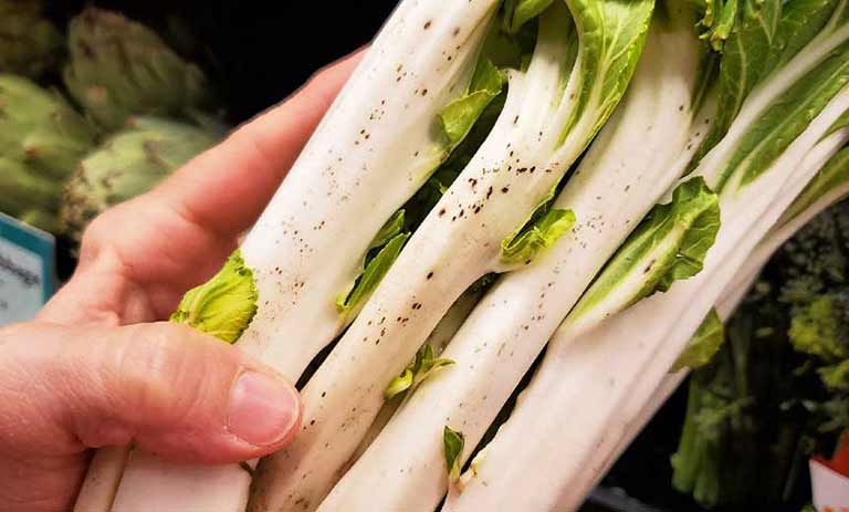 راهنمای عملی استفاده از کنگر کوهی – رازهای موفقیت در مجله اکالا