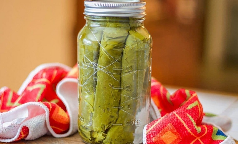 راهکار سریع برای تهیه کنسرو برگ مو در خانه