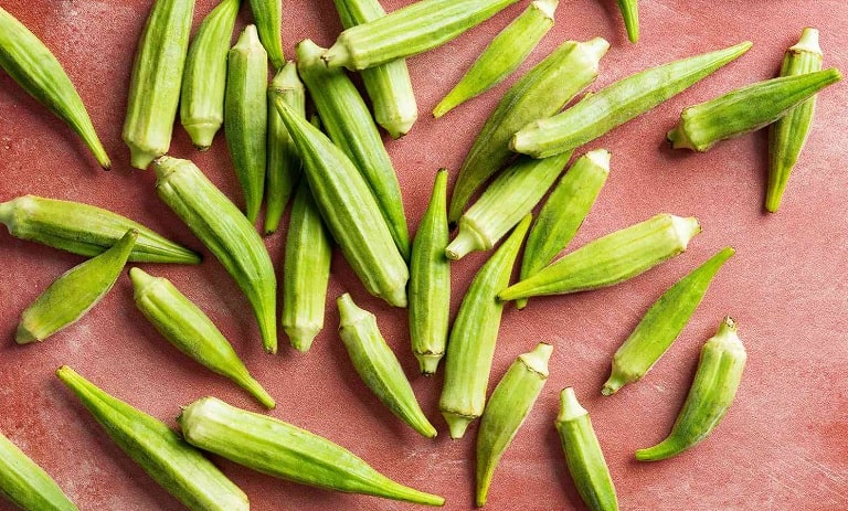 جنگل سرد یا گرم؟ بهترین جایی برای پذیرایی از طبیعت