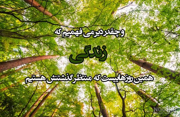 سحر و جادوی طبیعت: لذت‌های بی‌پایان از زیبایی‌های ارزشمند زمین