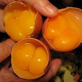 تخم مرغ با قیمت جدید ۵۹۹ هزار تومان! خریدی به دل نشین با محصولات فراوان