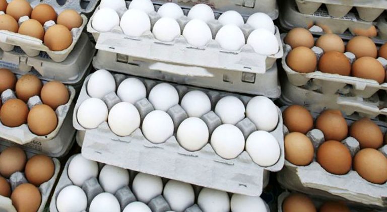 قیمت شگفت‌انگیز تخم‌مرغ، شانه‌ای چند تومان؟ آخرین نرخ‌ها در جدول پیوست!