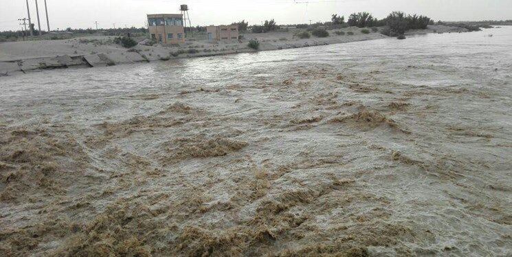 ورودی بیرونی به مزرعه: نیمی از گندم خوزستان به شکستگی رسید!