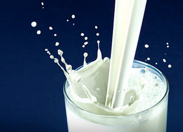 شمارش معکوس: تعیین قیمت پیشنهادی شیر خام برای ارسال به وزارت جهاد!