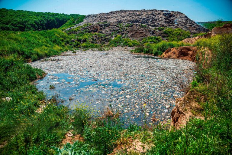 طبیعت در نوروز: مهمانان غیرخوش آمدید!