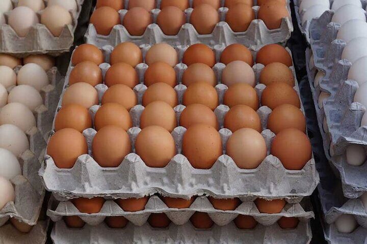 فروش تخم مرغ به قیمت ترندی 40 هزار تومان + جدول