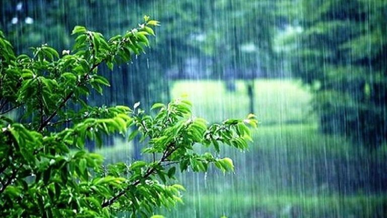 “پیش بینی هواشناسی: باران در فردا تهران را فرا می‌رساند!” – اقتصاد آنلاین