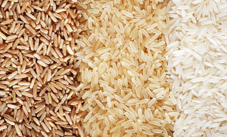 برنج طارم: کاوش جامع در دل ویژگی‌ها و جذابیت‌های منحصربه‌فردِ شاهکاری از دامان طبیعت