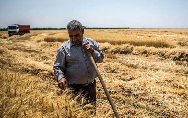 با عرض پوزش، صفحه مورد نظر شما گمشده است!