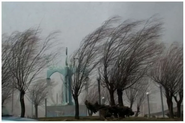 تهران در چنگال تندباد: وزش بی‌امان بادهای سهمگین در پایتخت