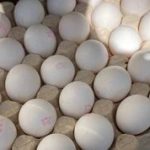 جدول به‌روز: نرخ تخم مرغ به مرز ۴۵ هزار تومان رسید – بررسی جزئیات قیمت‌های جدید!