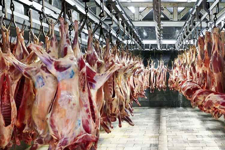 رکود در بازار دام: کاهش چشمگیر قیمت حیوانات اهلی – گزارش ویژه اقتصاد آنلاین