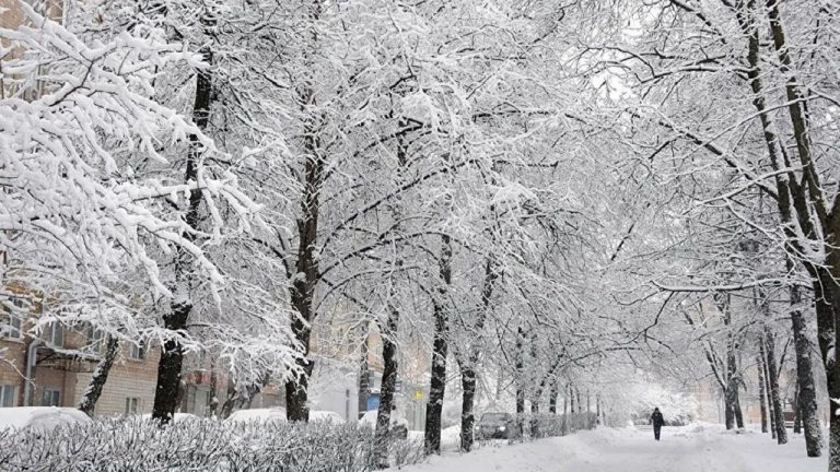 شاهد زیبایی بارش برف بهاری در اردبیل + فیلم