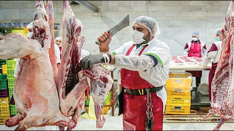 قیمت گوشت وارداتی به بازار عرضه شد!